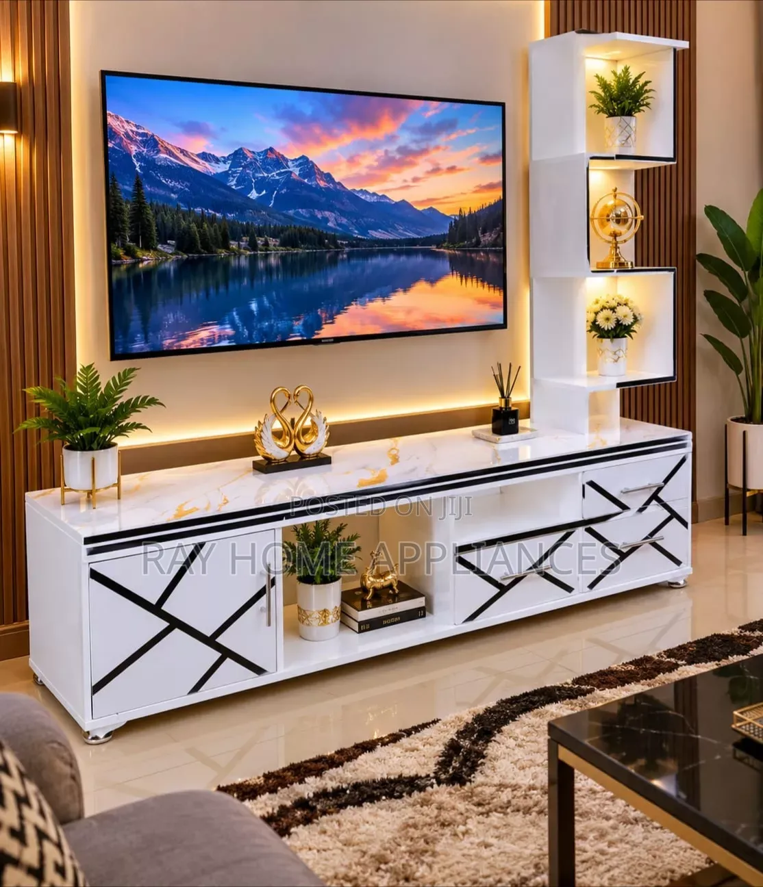 TV Stand With LED Lights With Inbuilt Flower Decor Stand