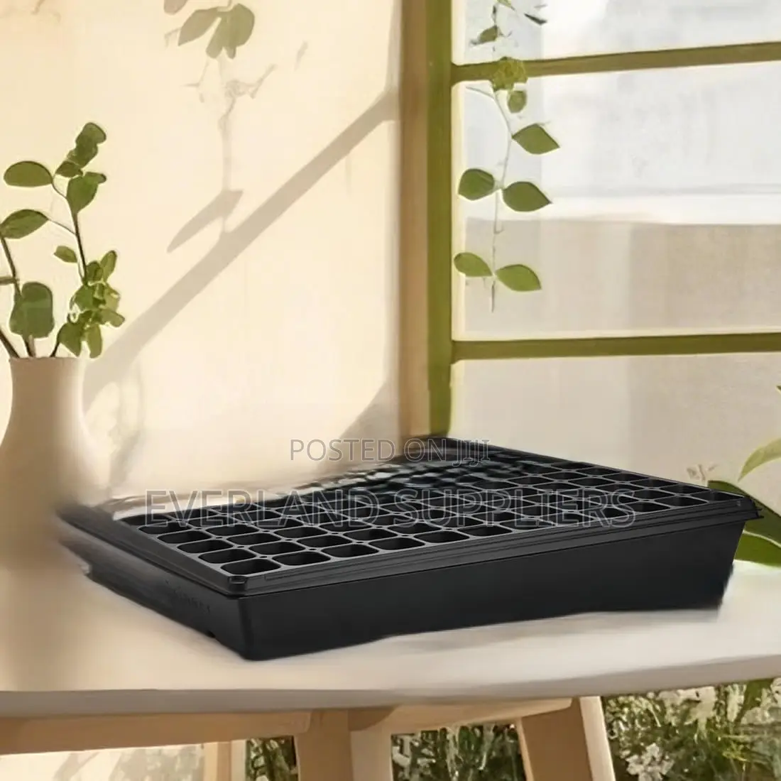 Large Seedling Trays - Wholesale