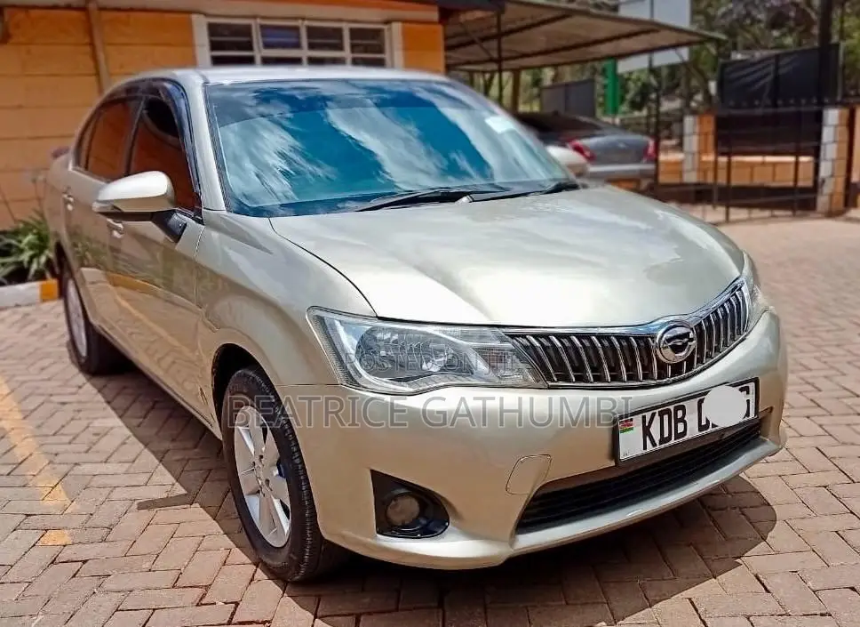 Toyota Axio 2013 Gold