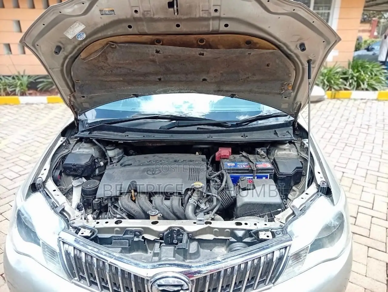 Toyota Axio 2013 Gold
