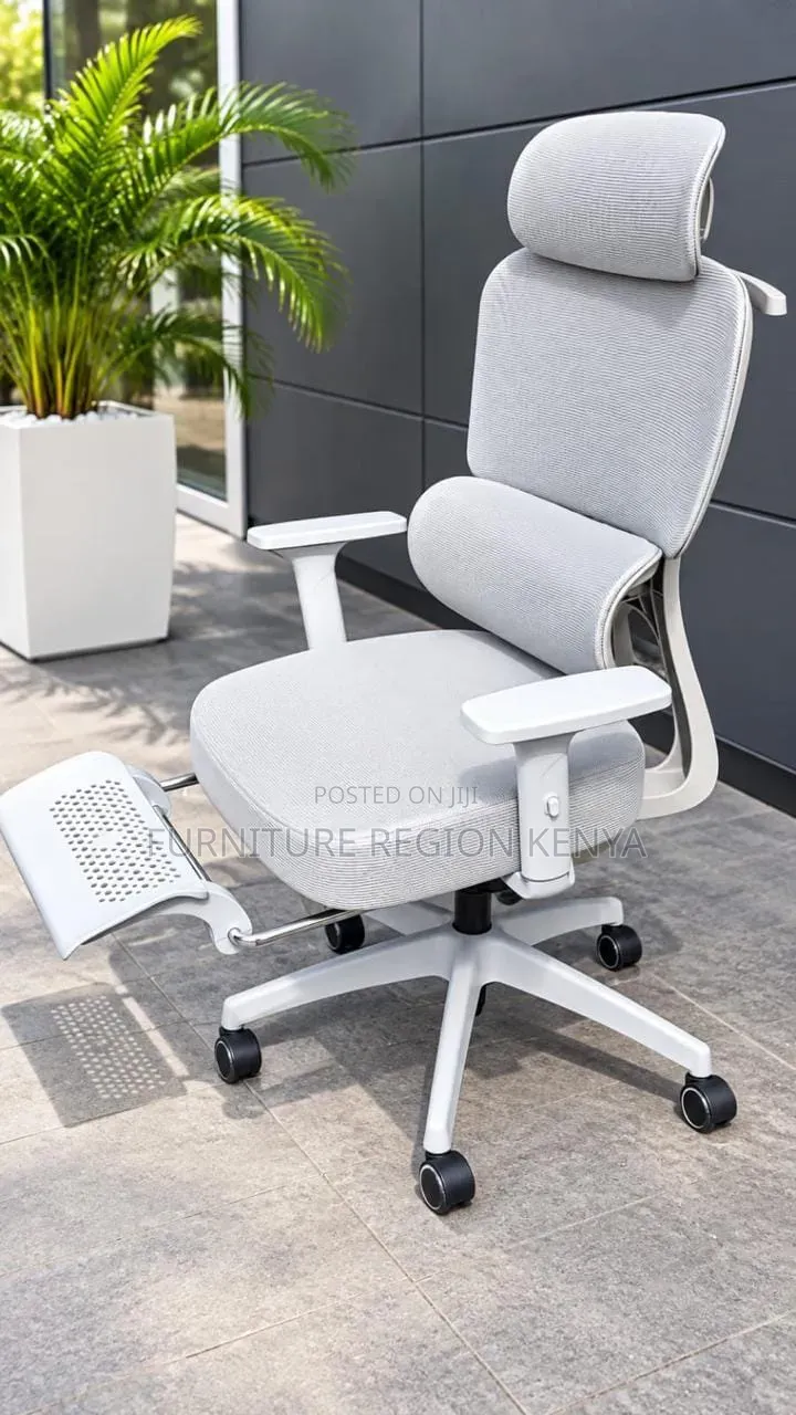 Ergonomic Executive Office Chair