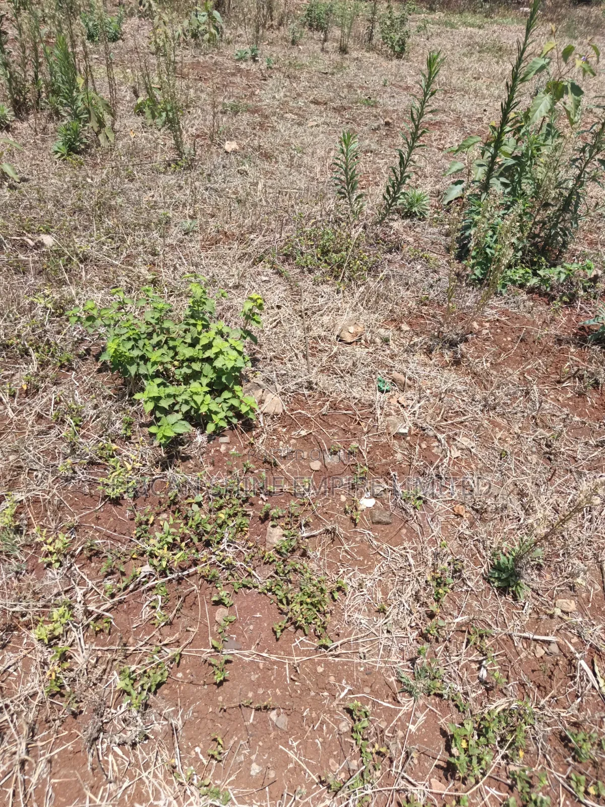 Kiambu Town 1/2 Acre Land for Sale