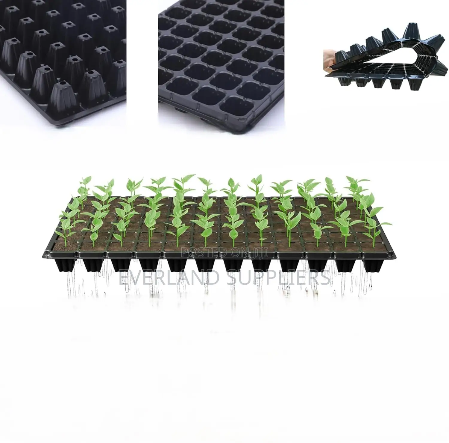 Reusable Nursery Seedling Trays - Wholesale
