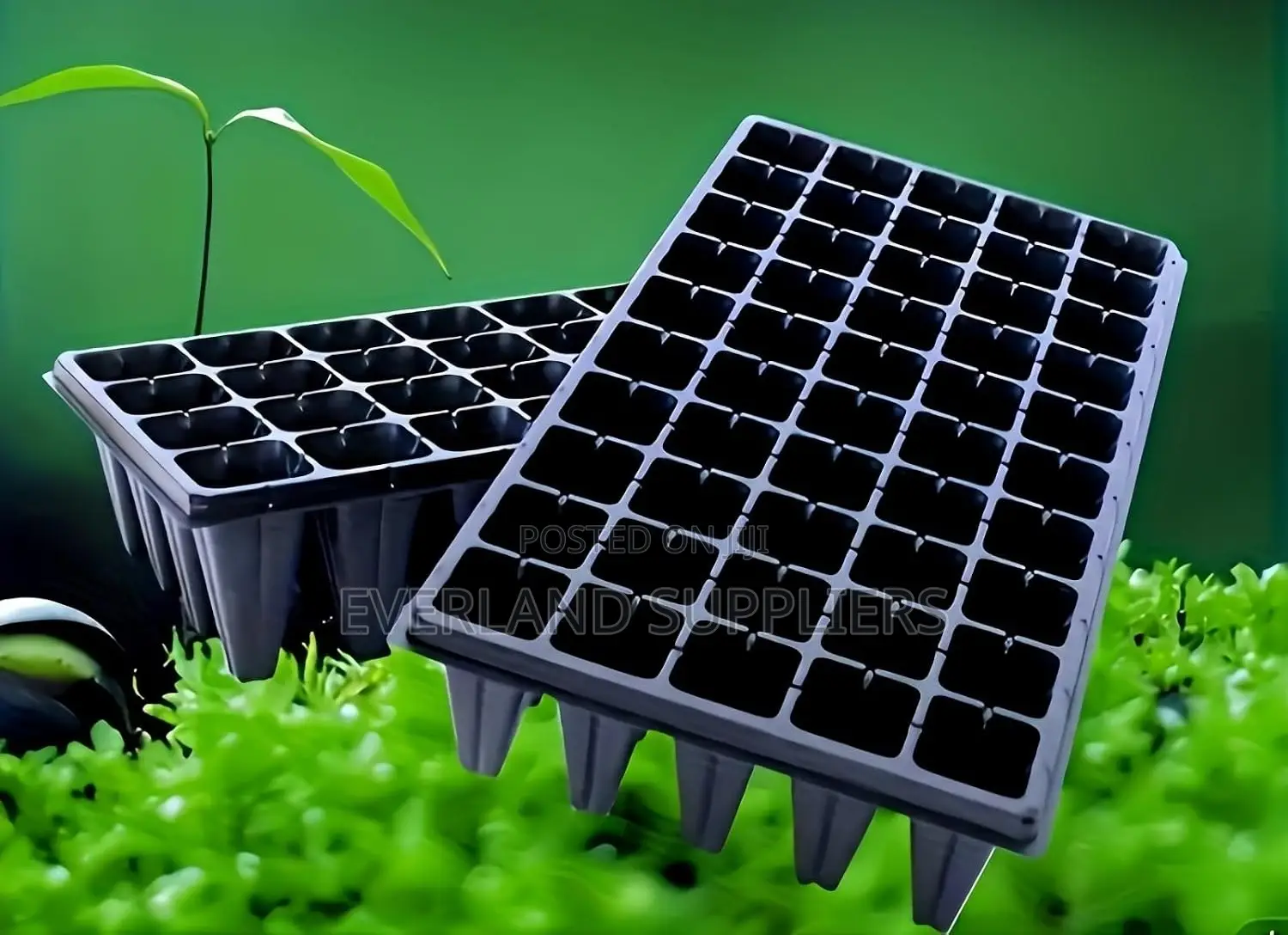 Seedling Transplant Trays - Wholesale