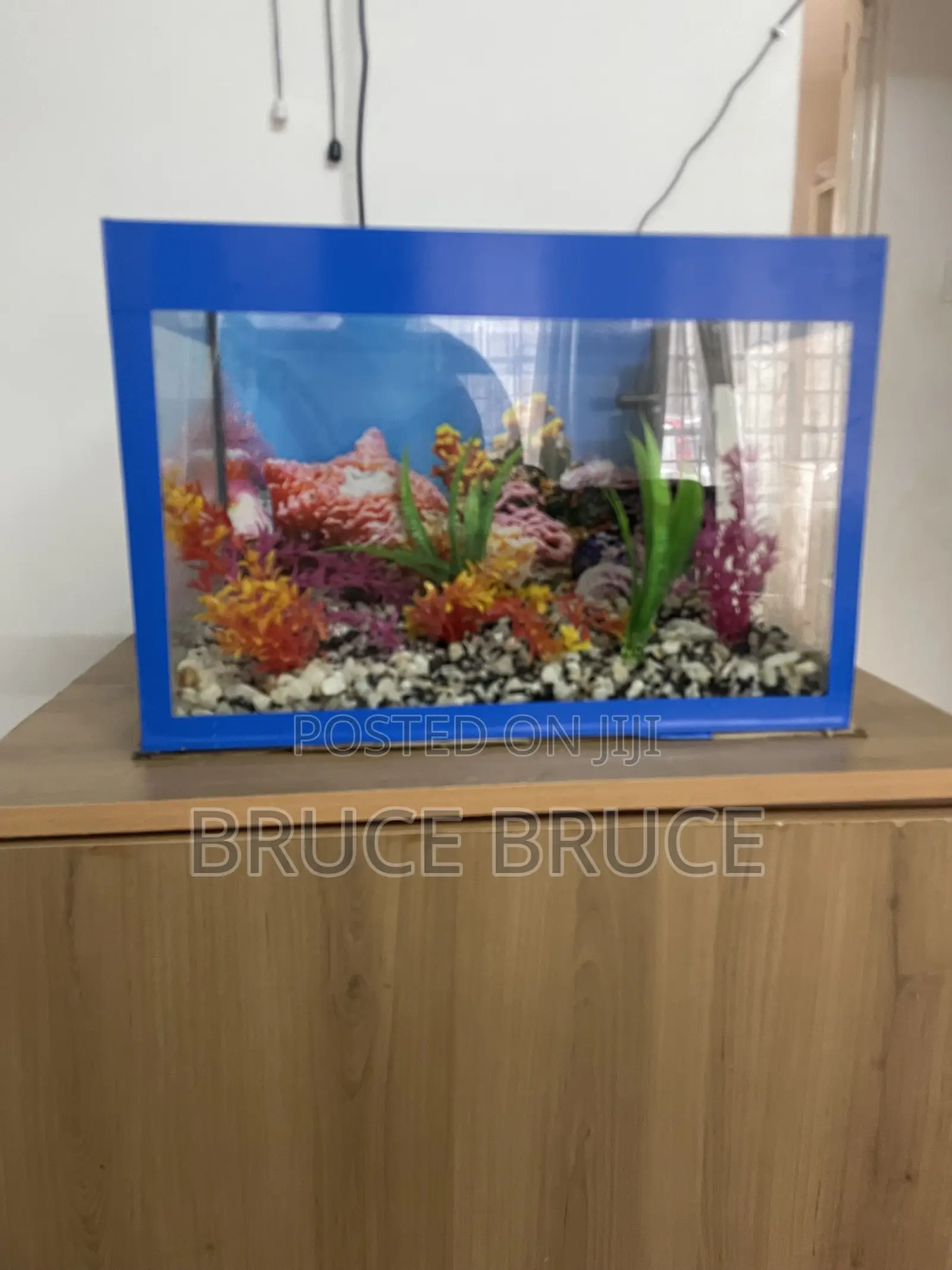 Custom 30 Litres Home Aquarium