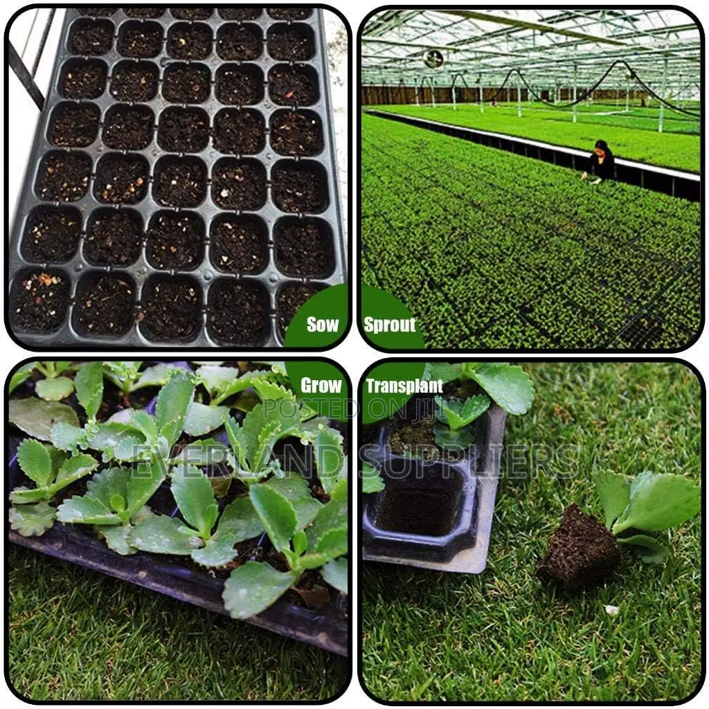 Herb Growing Seedling Trays - Wholesale