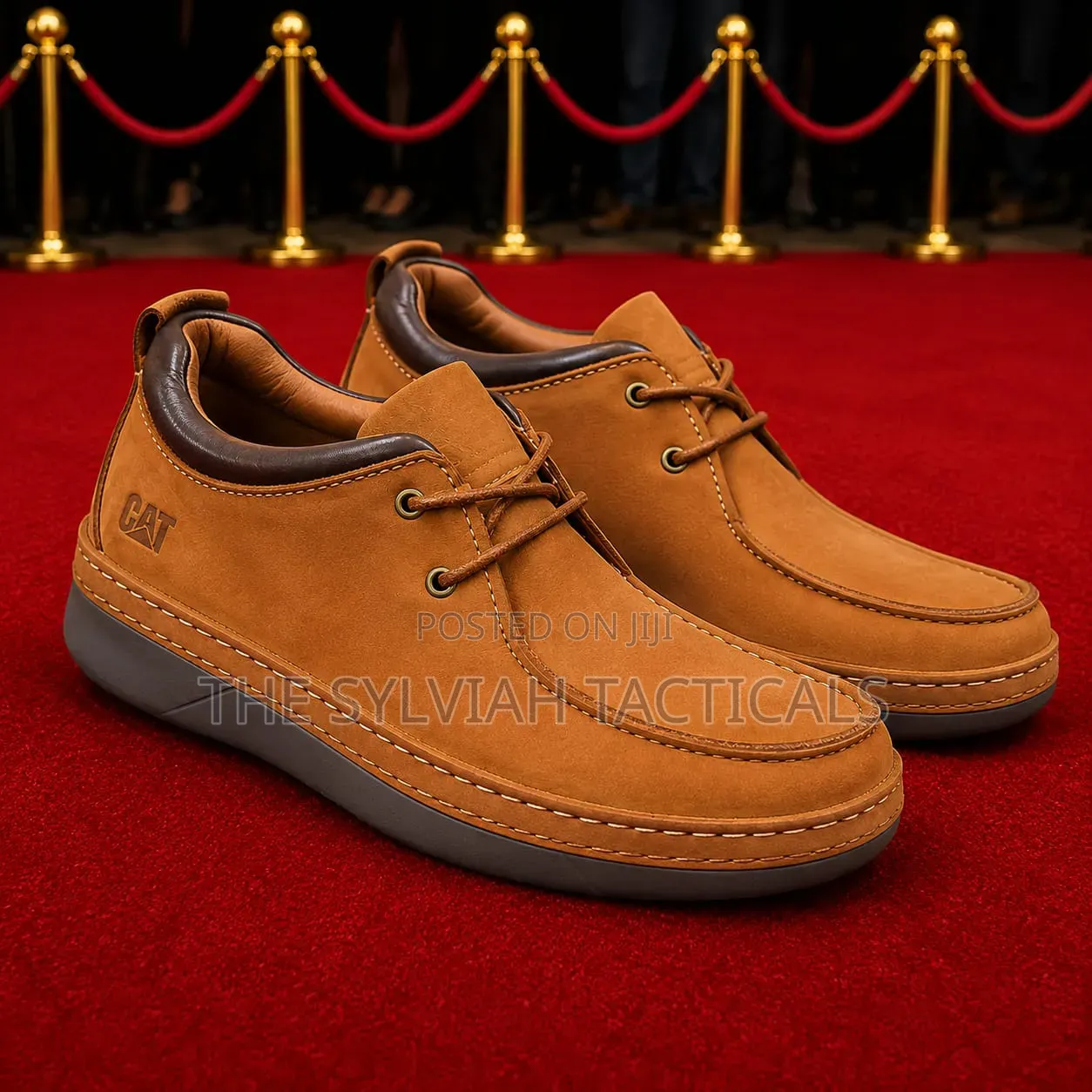 Original Legit Unisex Cat Shoes