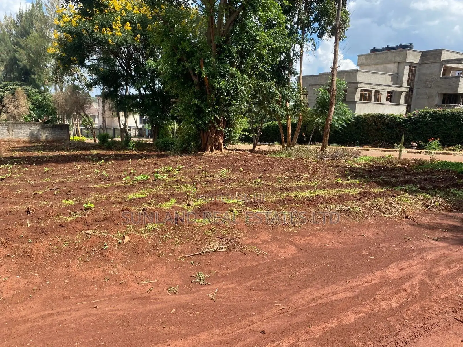 Prime 1/8-Acre Plot for Sale – Kamiti Ridge Estate