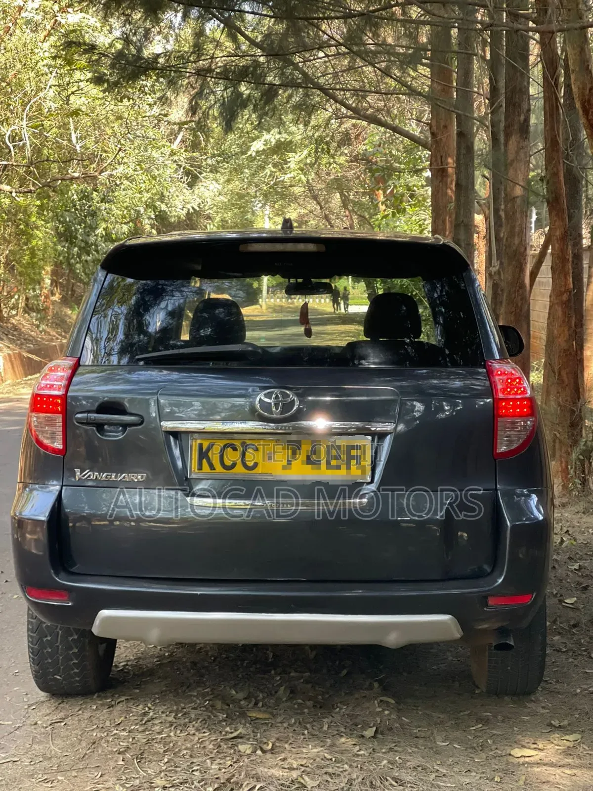 Toyota Vanguard 2008 Gray