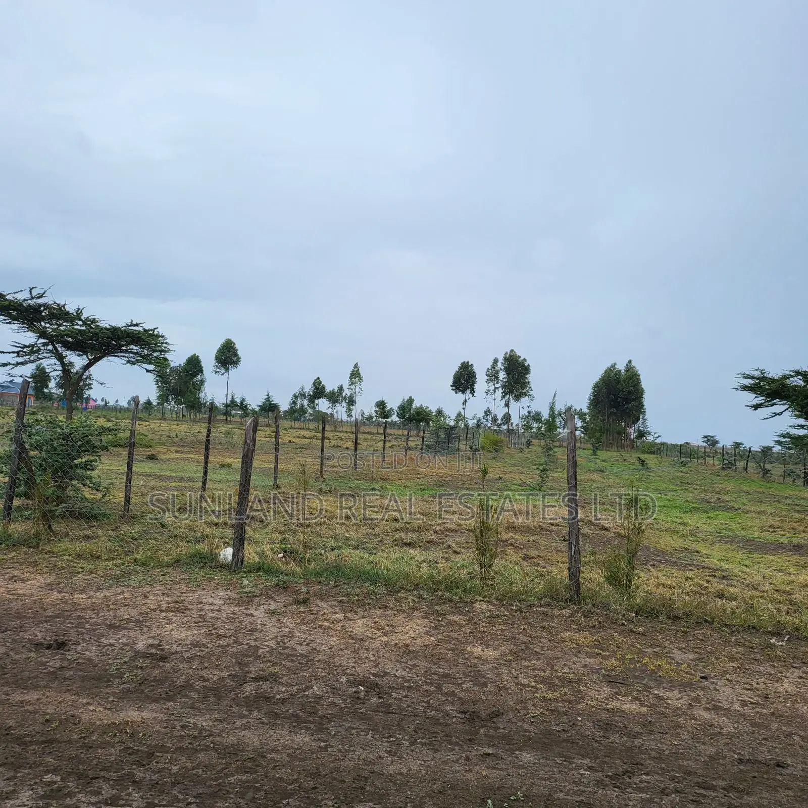 Prime 1/8-Acre Plots for Sale in Ngobit, Laikipia Central