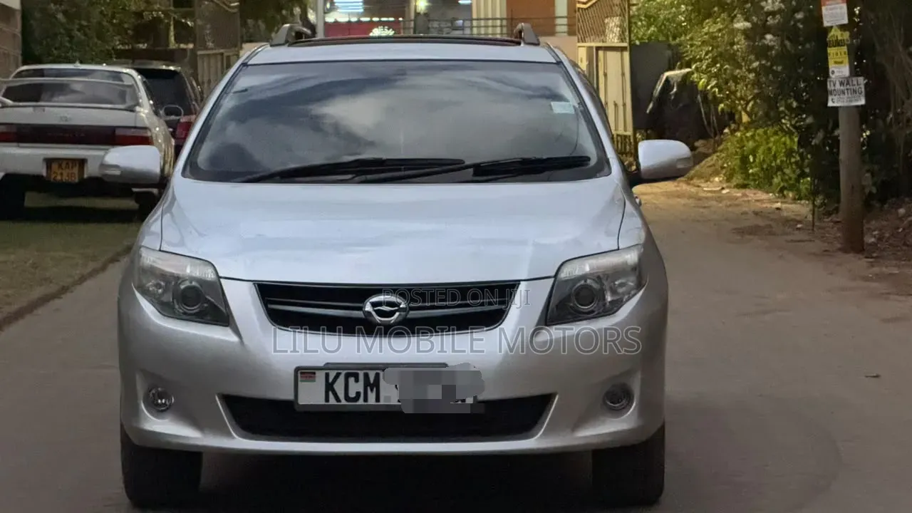 Toyota Corolla Fielder 2010 Silver
