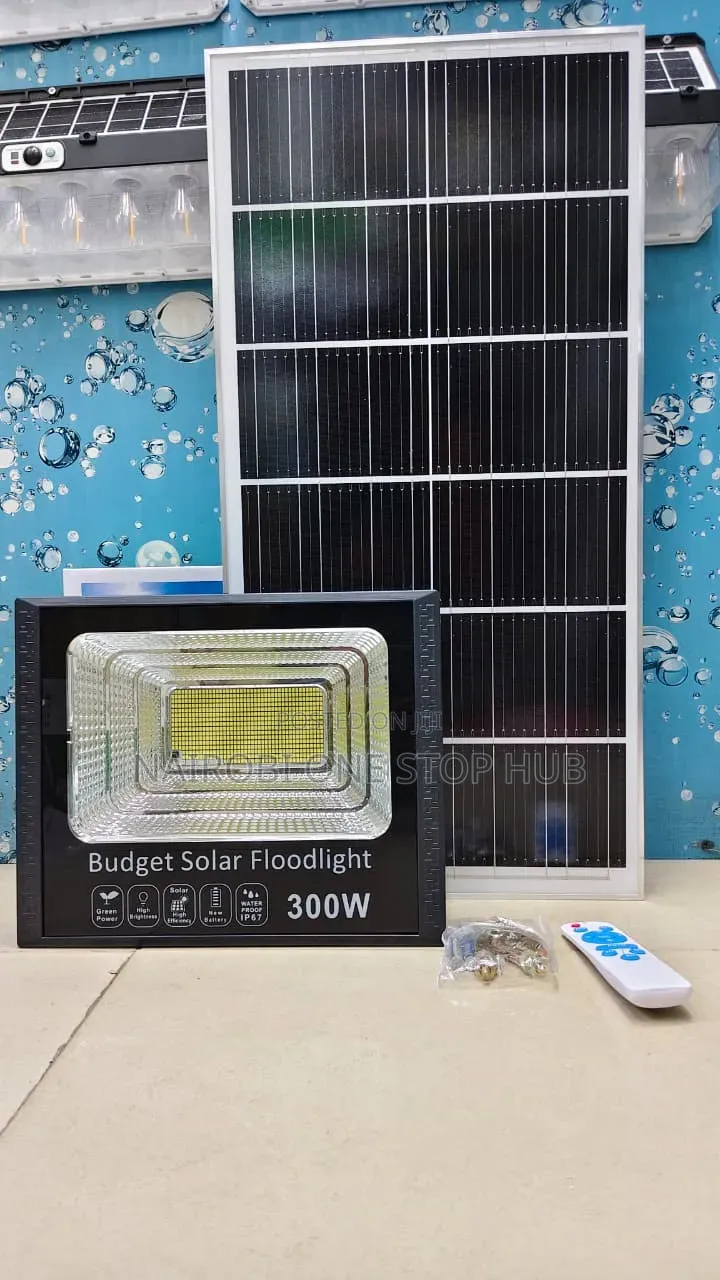300W Budget Solar Floodlight – KSh 5,000
