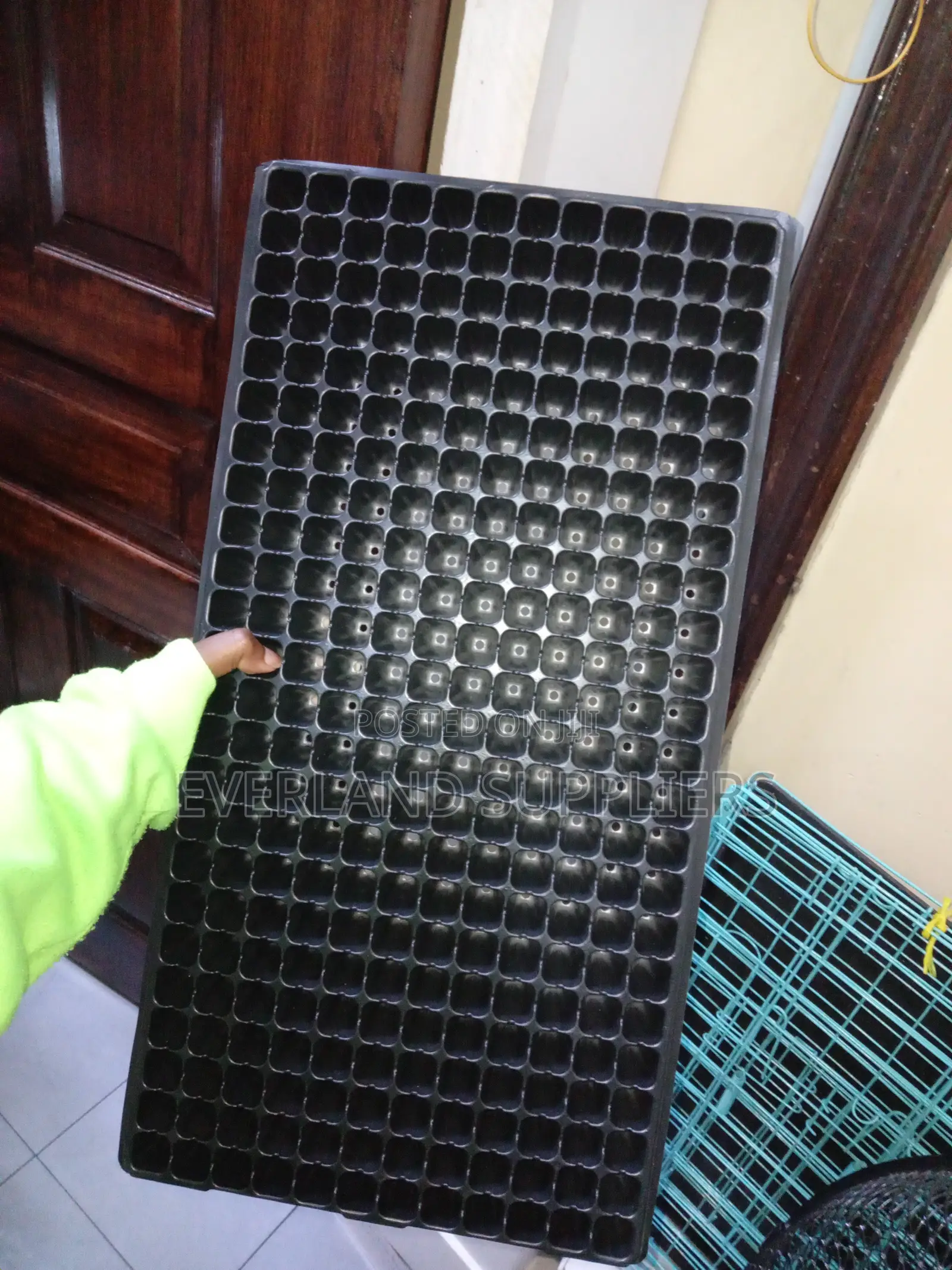 Root-Friendly Seedling Trays - Wholesale