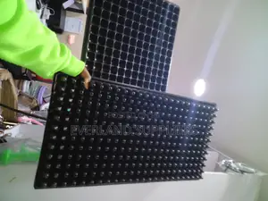 Uniform Cell Seedling Trays - Wholesale