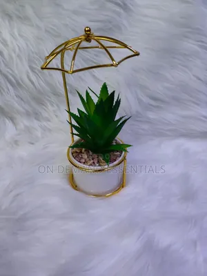 Succulent Small Wire Decor