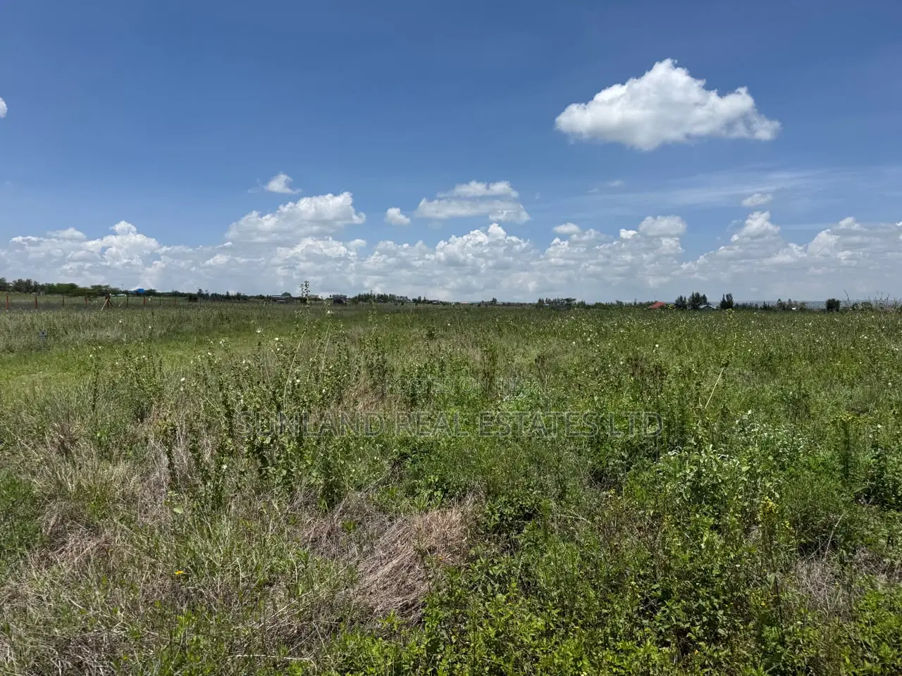 50x100 Plots for Sale in Kisaju – Beyond Serene Estate