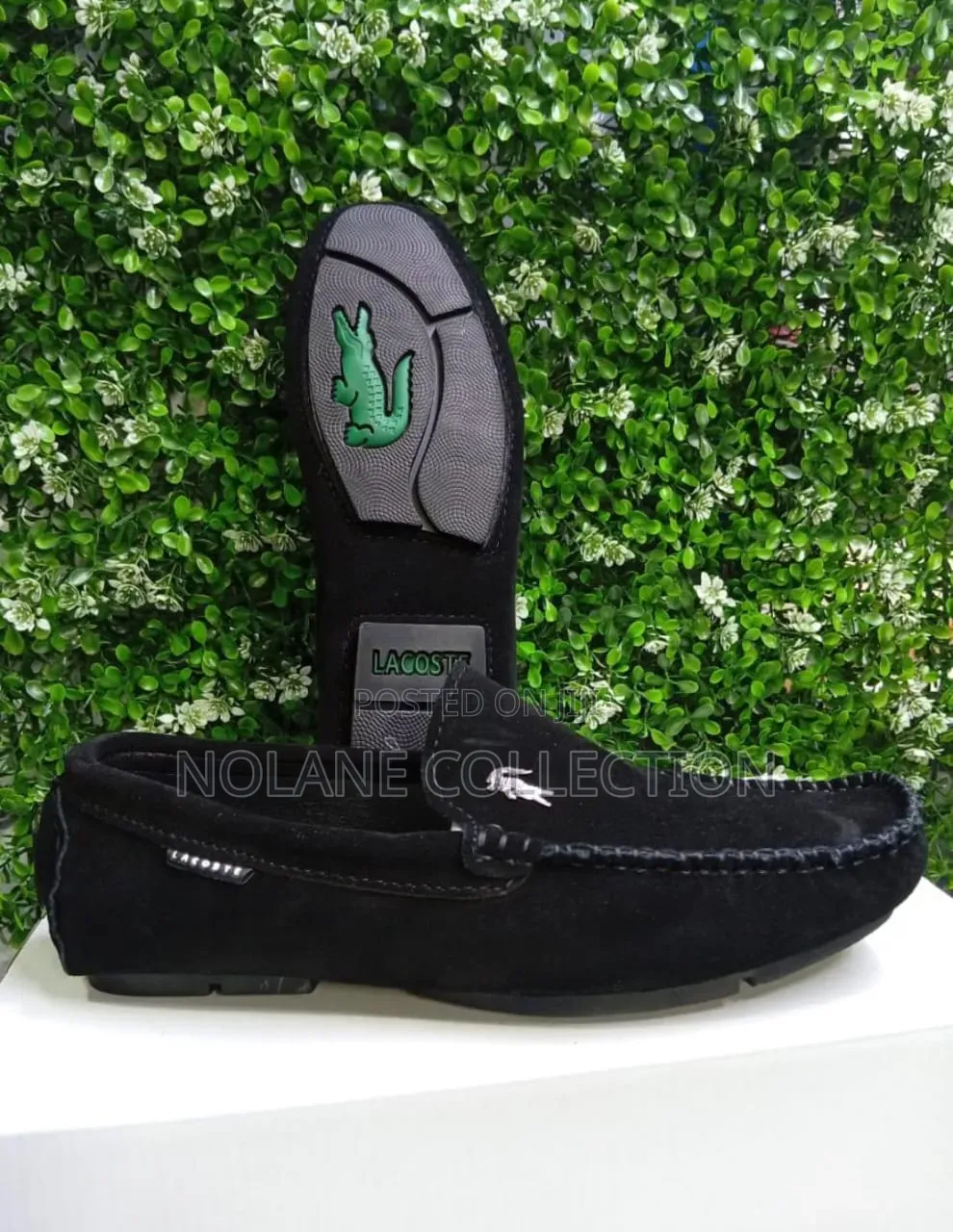 Quality Lacoste Loafers