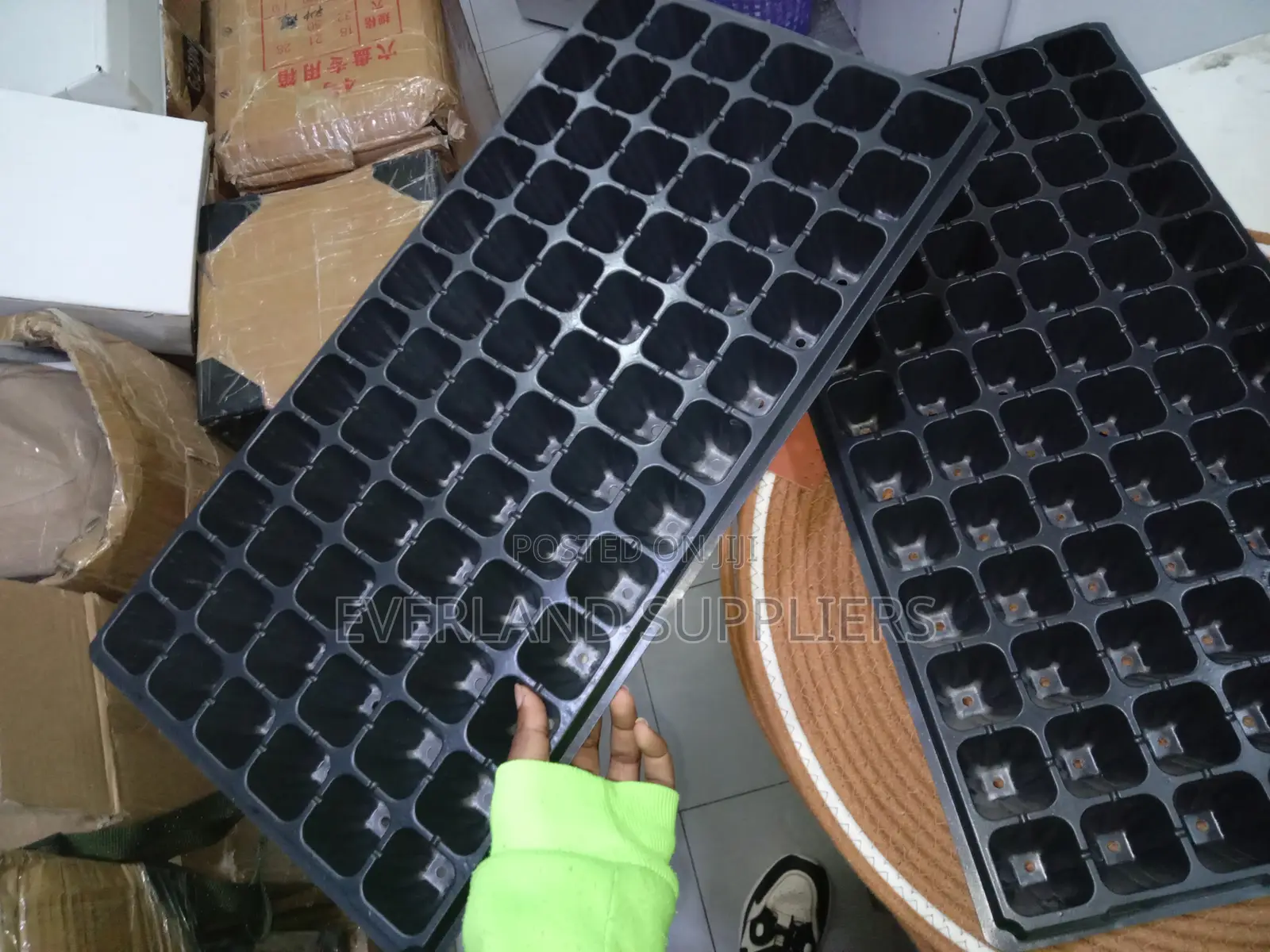 Seed-to-Plant Growing Seedlings Trays - Wholesale