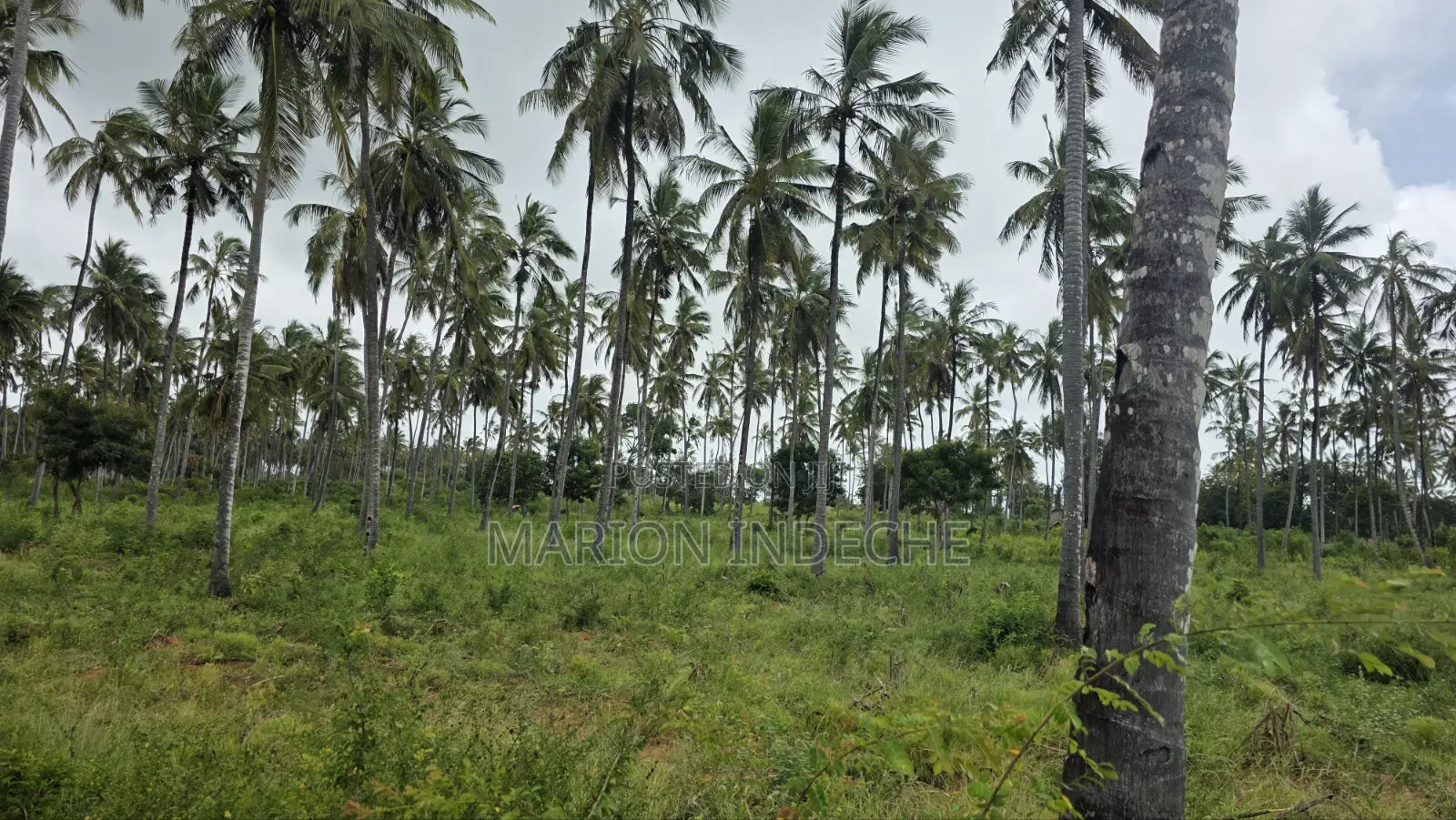 Prime 12acres for Sale in Kilifi Tezo