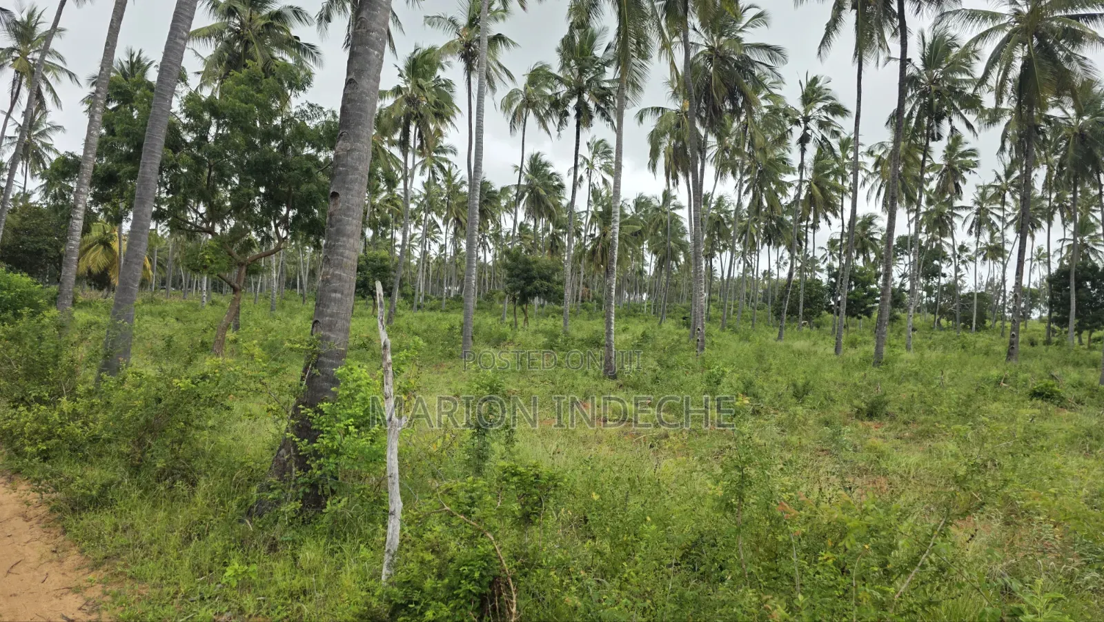 Prime 12acres for Sale in Kilifi Tezo