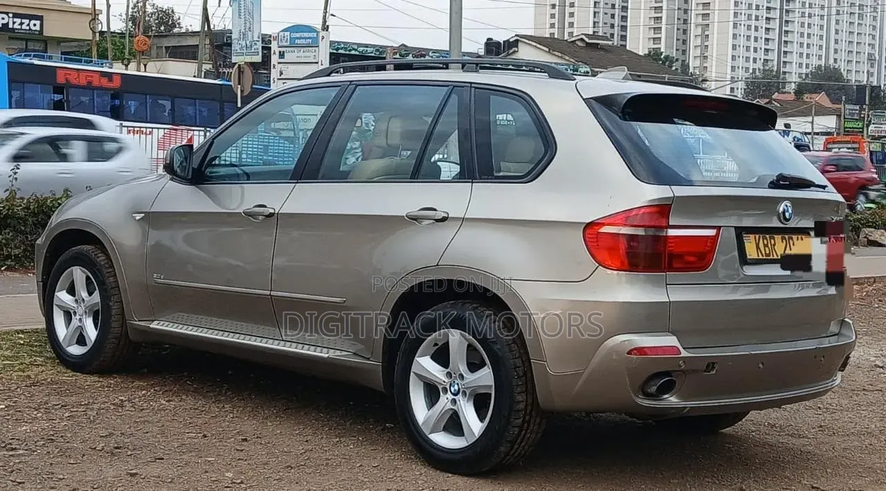 BMW X5 2009 Brown