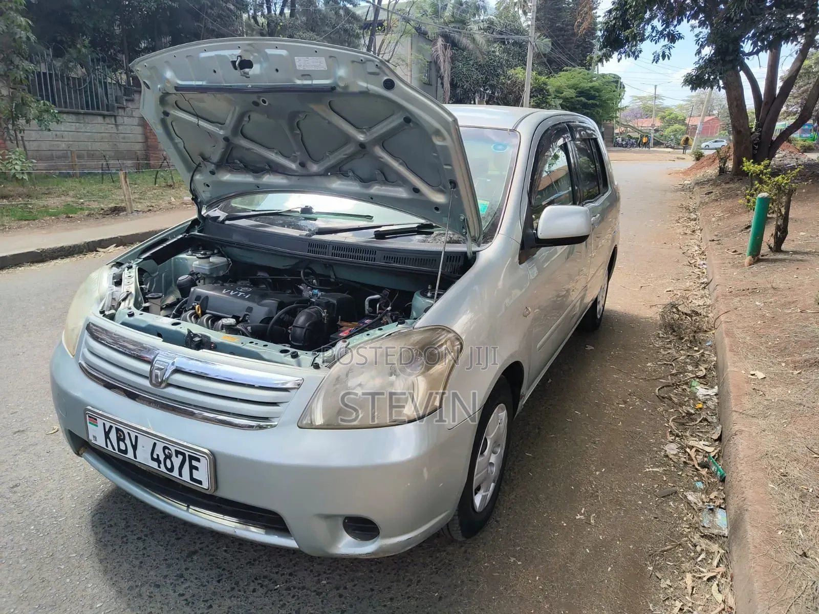 Toyota Raum 2008 Gray