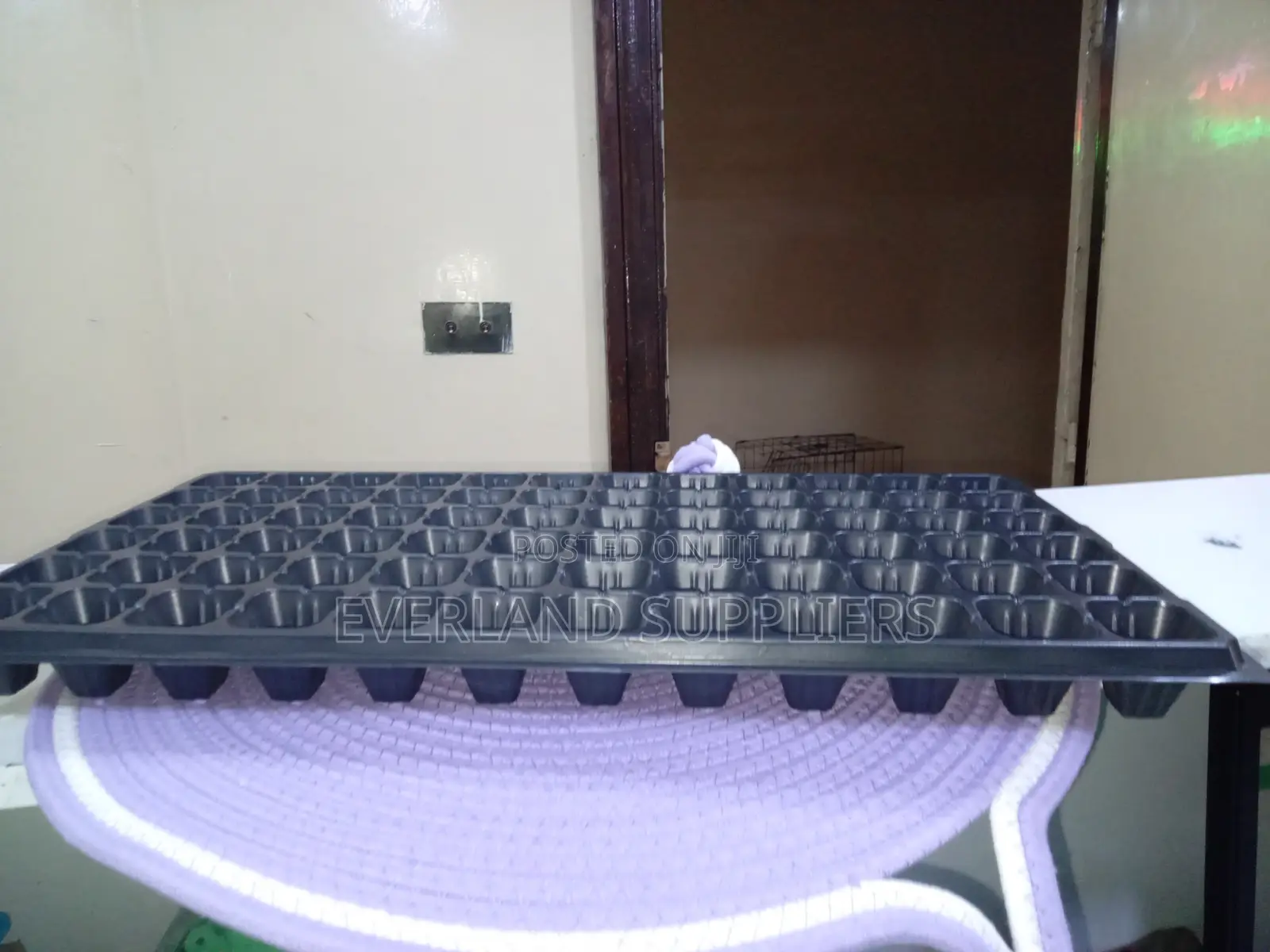 Seedling Development Trays - Wholesale