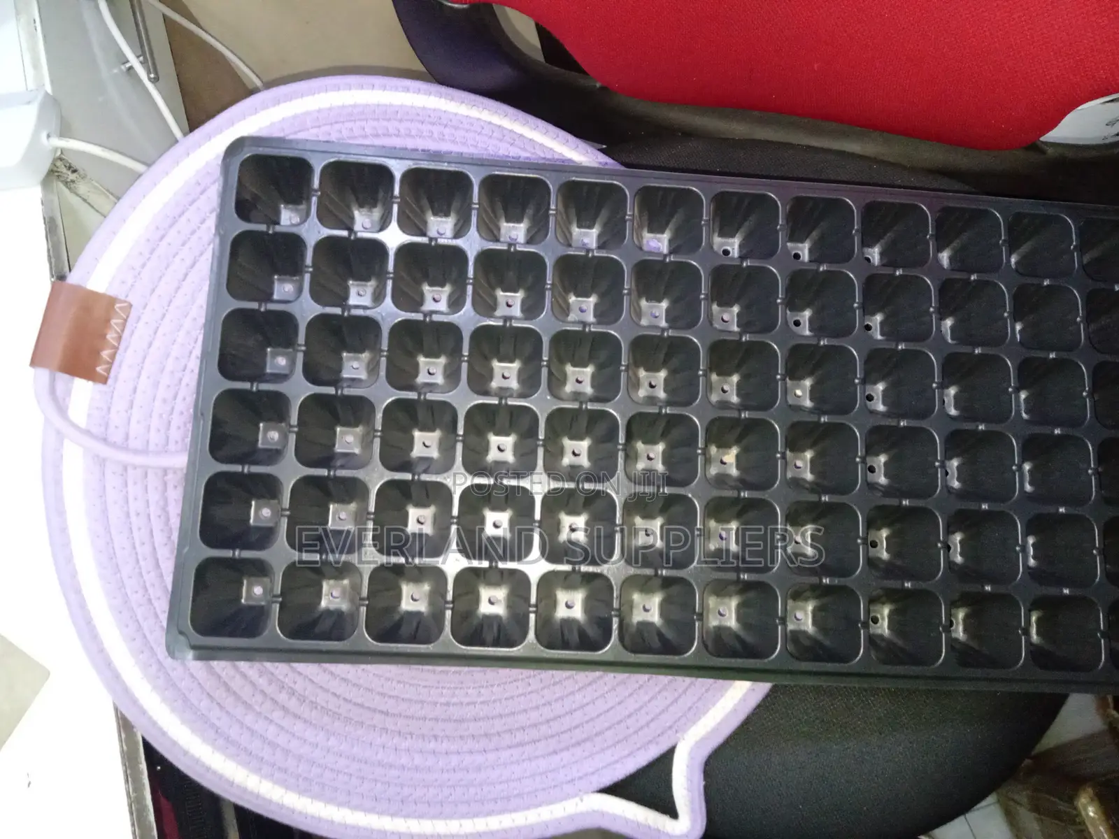 Easy-Watering Seedling Trays - Wholesale
