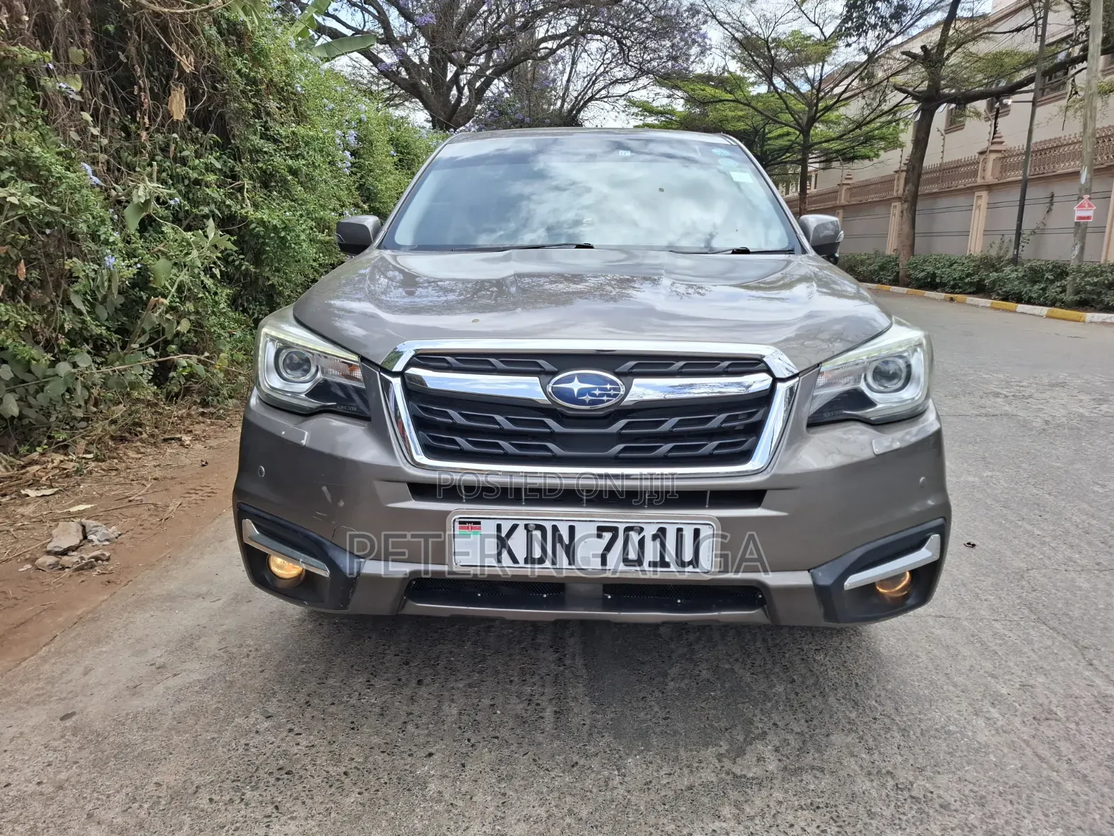Subaru Forester 2016 Gray