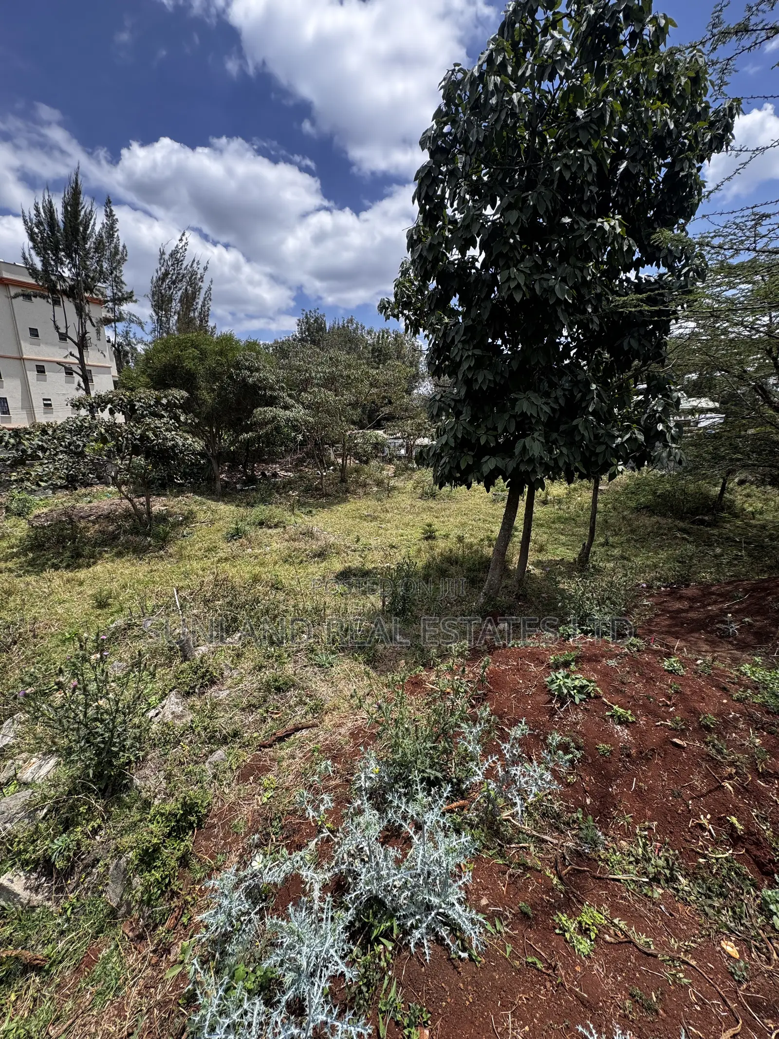 3/8-Acre Plot for Sale in Zambia, Ngong – Tarmac Frontage
