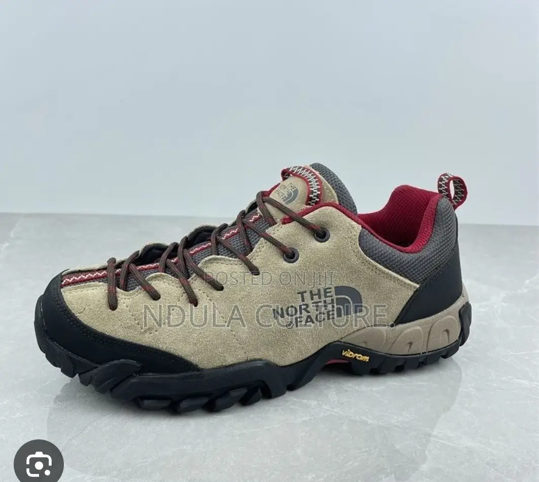 The North Face Low-Top Hiking and Outdoor Shoes