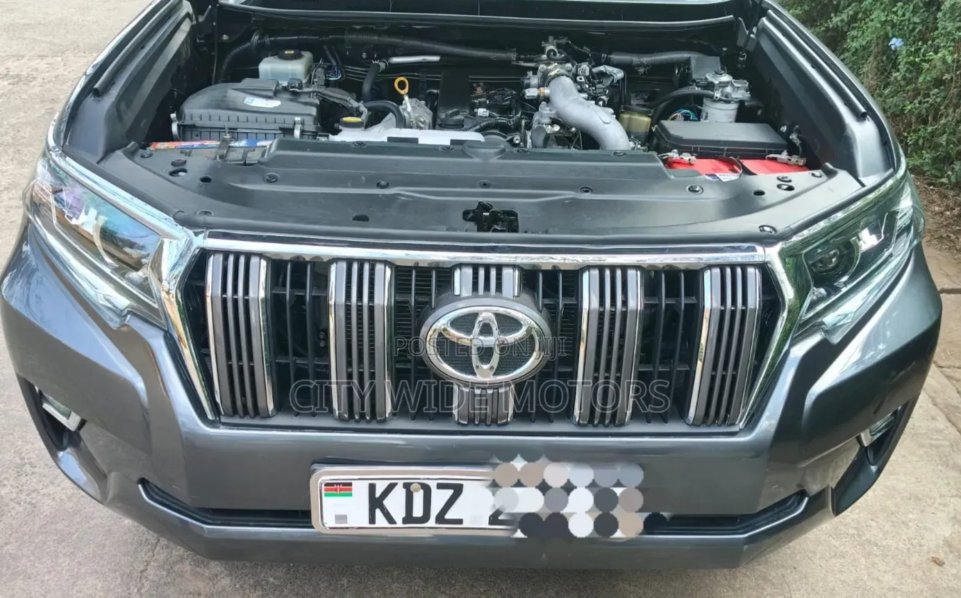 Toyota Land Cruiser Prado 3.0 190hp 2020 Gray