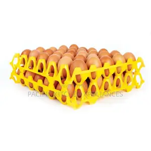 1 PC Plastic Eggs Tray Rack-30 Eggs Capacity