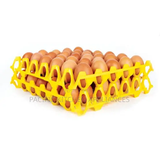 1 PC Plastic Eggs Tray Rack-30 Eggs Capacity
