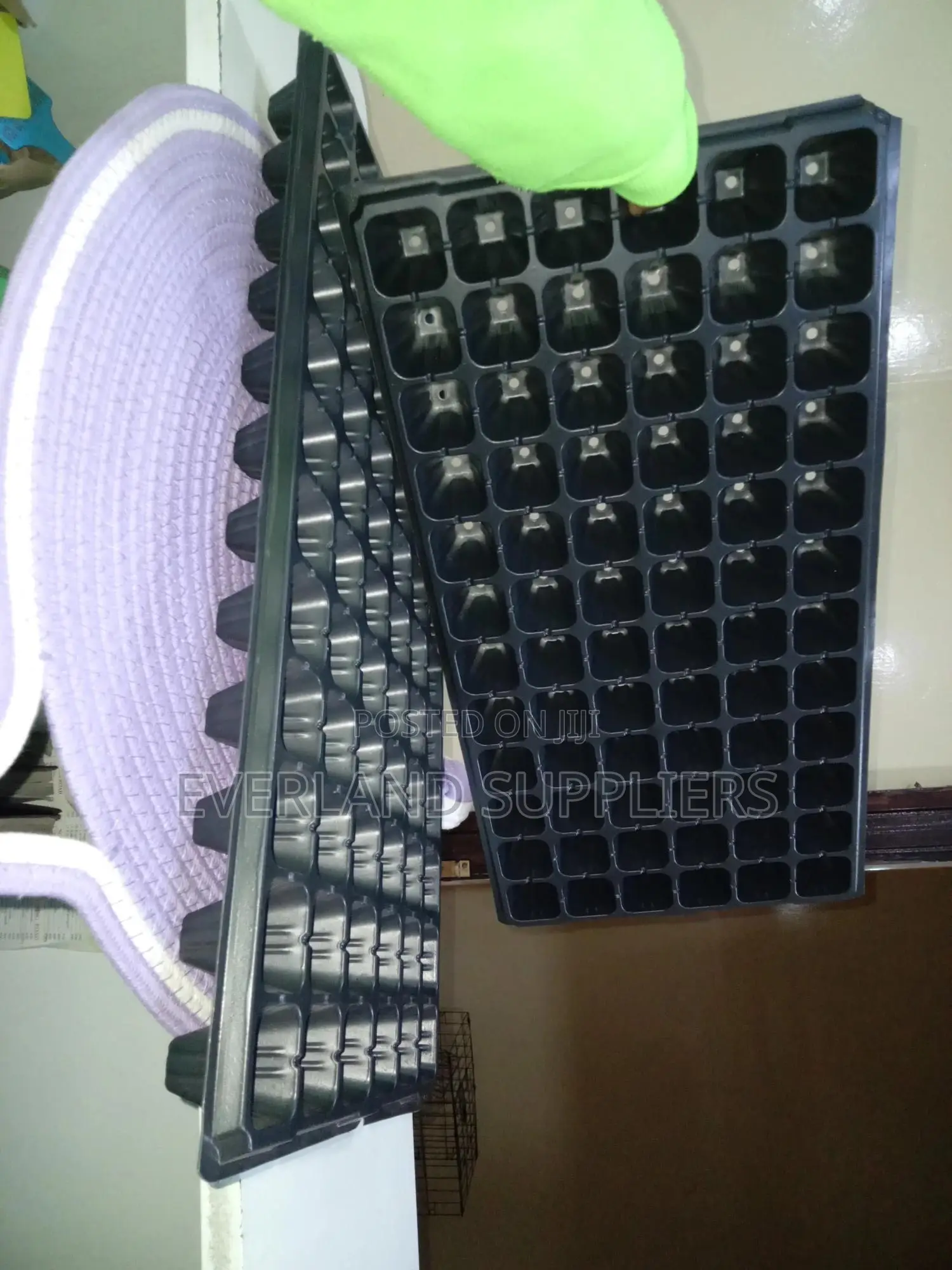Nursery Plant Cell Seedling Trays - Wholesale