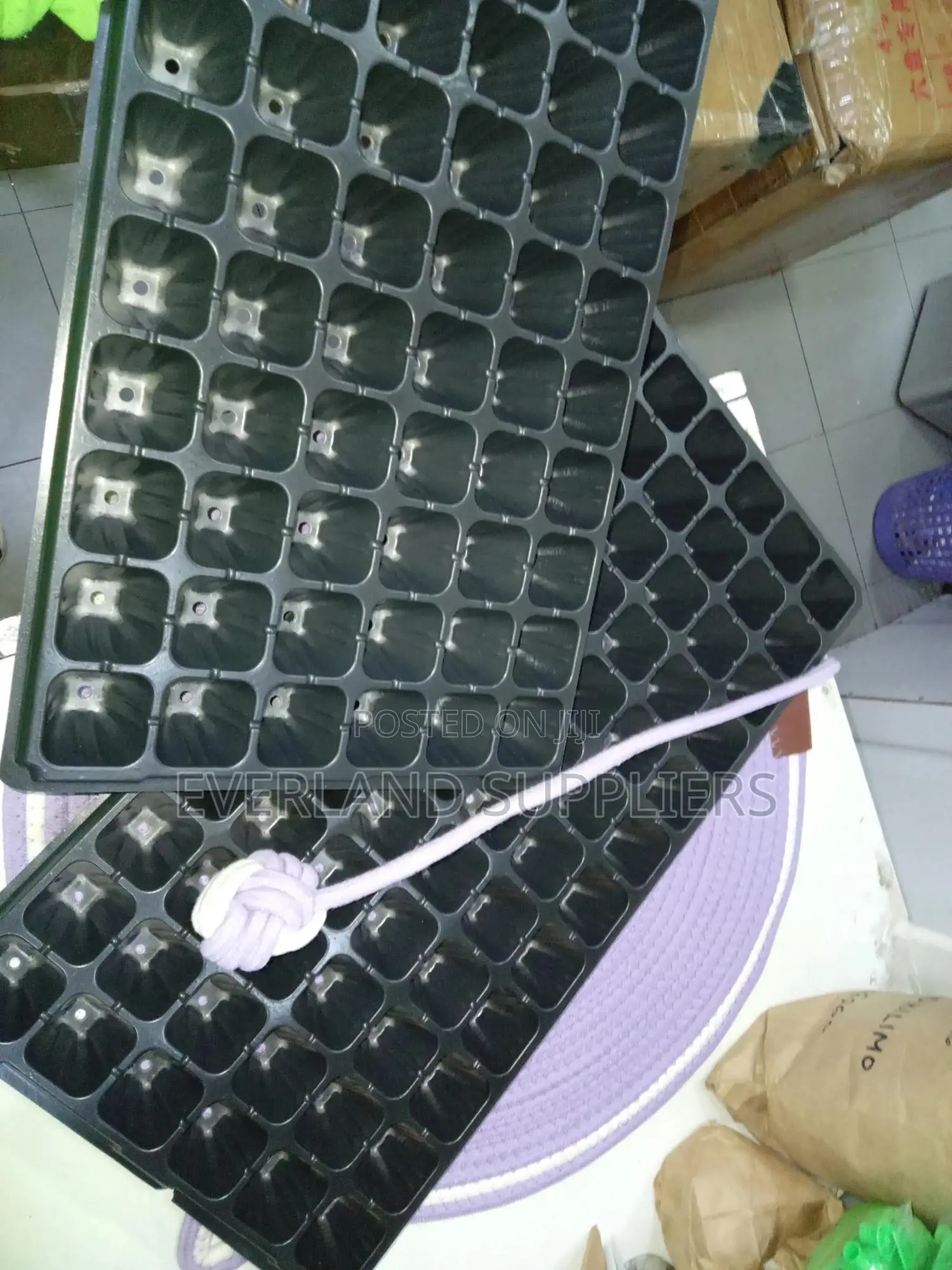 Organized Seed Germination Trays - Wholesale