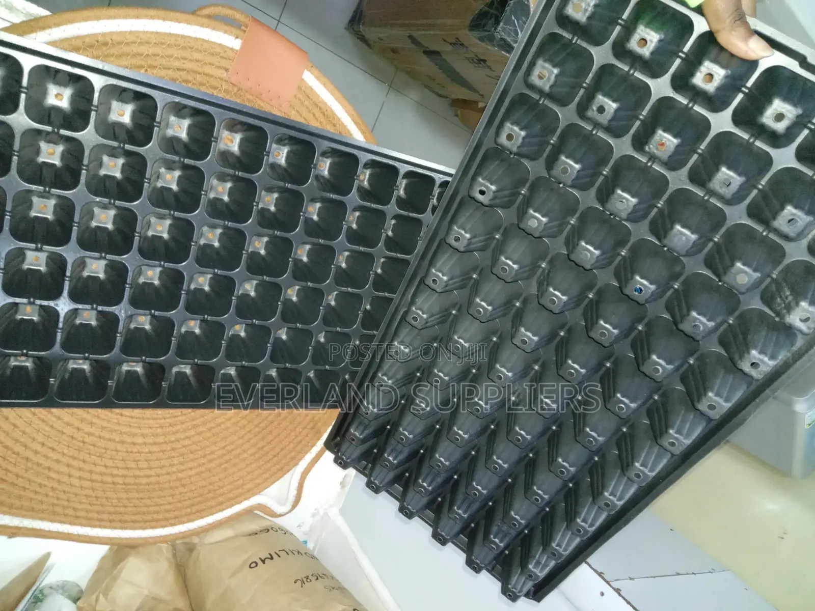 Large-Cell Seedling Trays - Wholesale