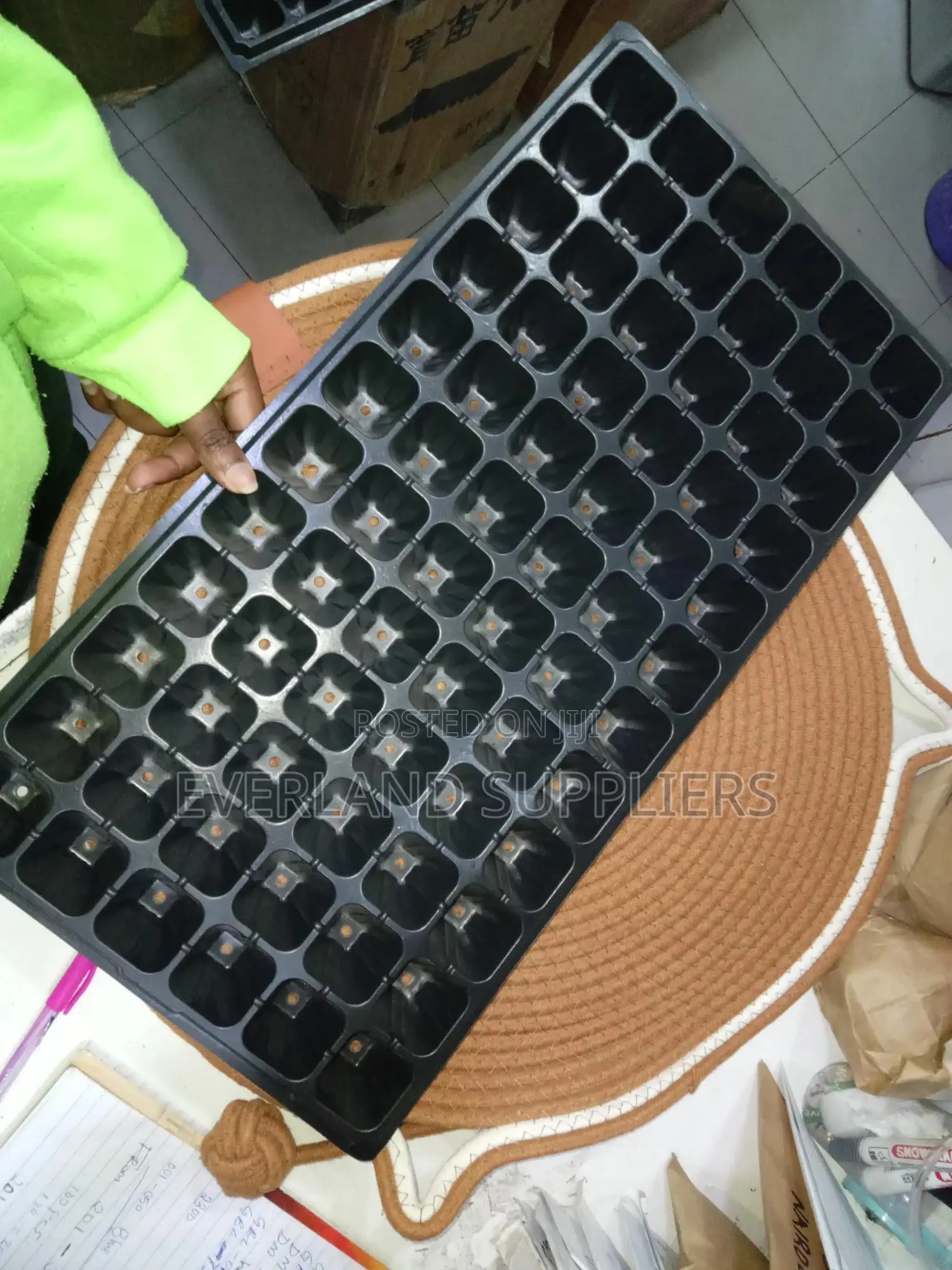 Seedling Raising Trays - Wholesale