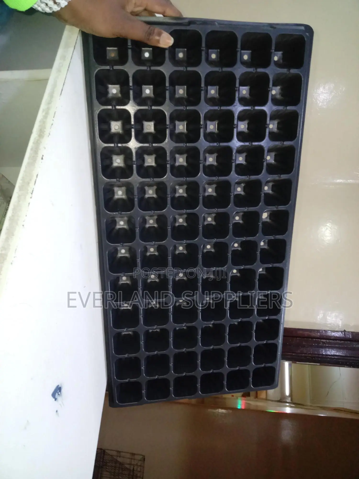Seed Germination Seedling Trays - Wholesale