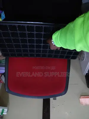 Stackable Seedling Trays - Wholesale