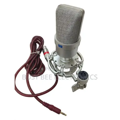 Professional XLR Condenser Studio Microphone Cardioid Large Diaphragm