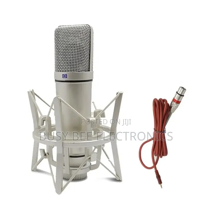 Professional XLR Condenser Studio Microphone Cardioid Large Diaphragm
