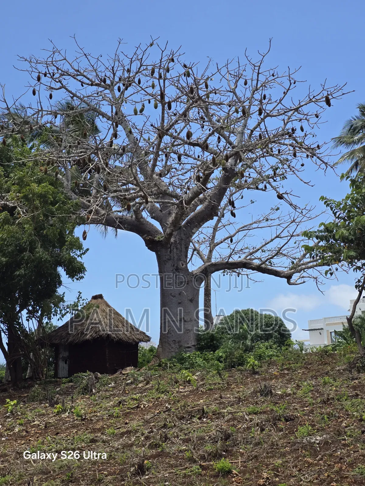 One Acre Second Row Beach Near Almond Ridge Diani