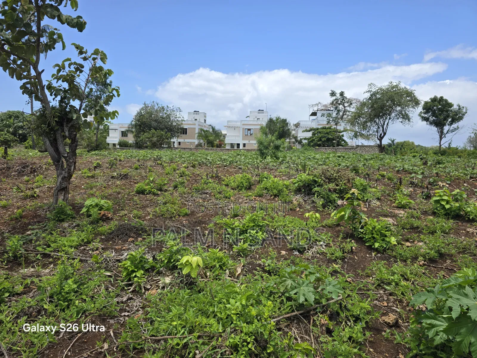 One Acre Second Row Beach Near Almond Ridge Diani