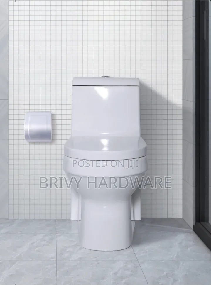 Frencia One Piece/Full Body Toilet (WC-8078)