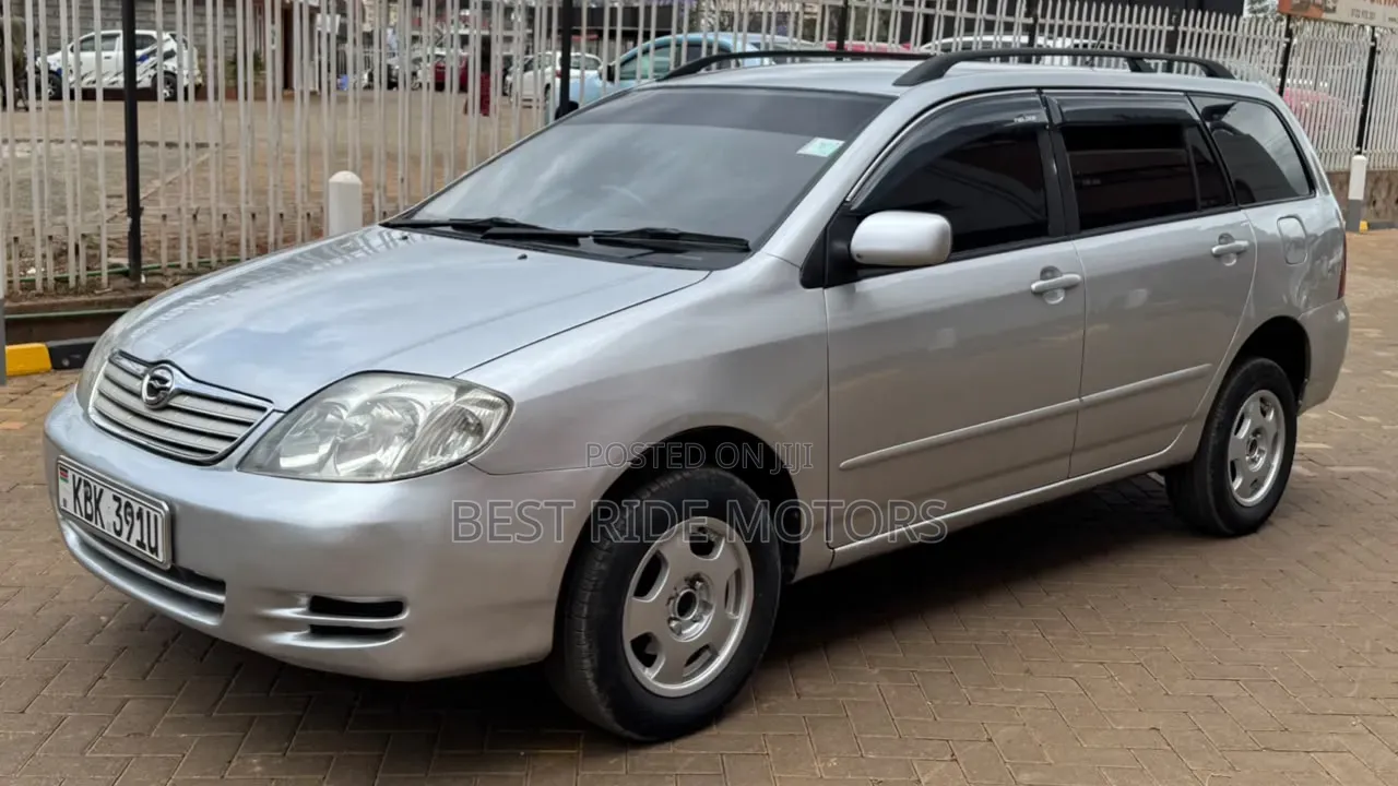 Toyota Corolla Fielder 2003 Silver
