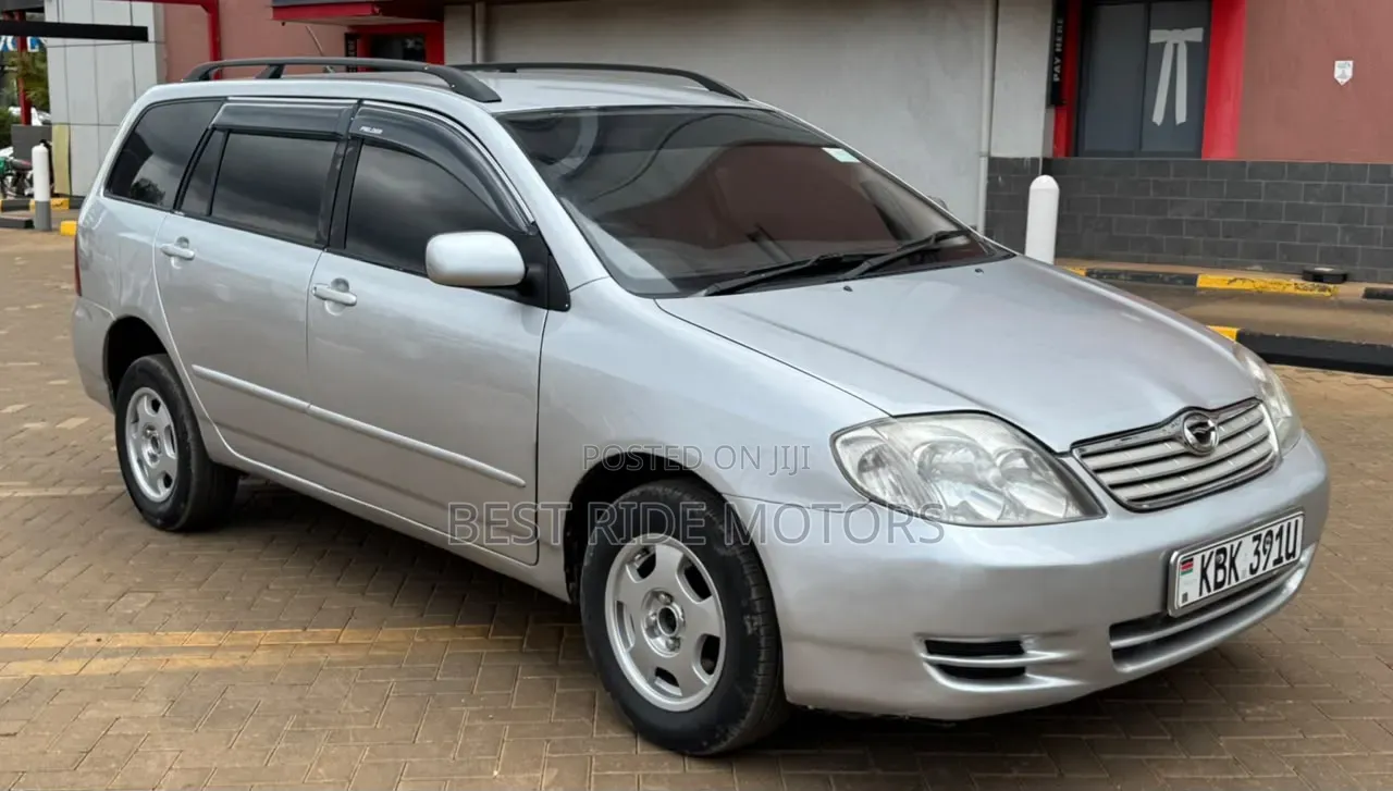 Toyota Corolla Fielder 2003 Silver