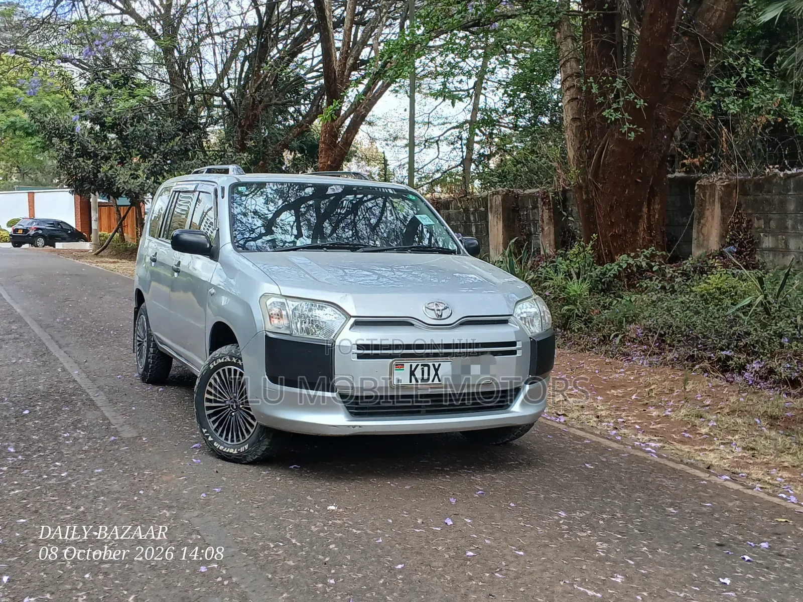 Toyota Probox 1.3 DX 2WD 2019 Silver