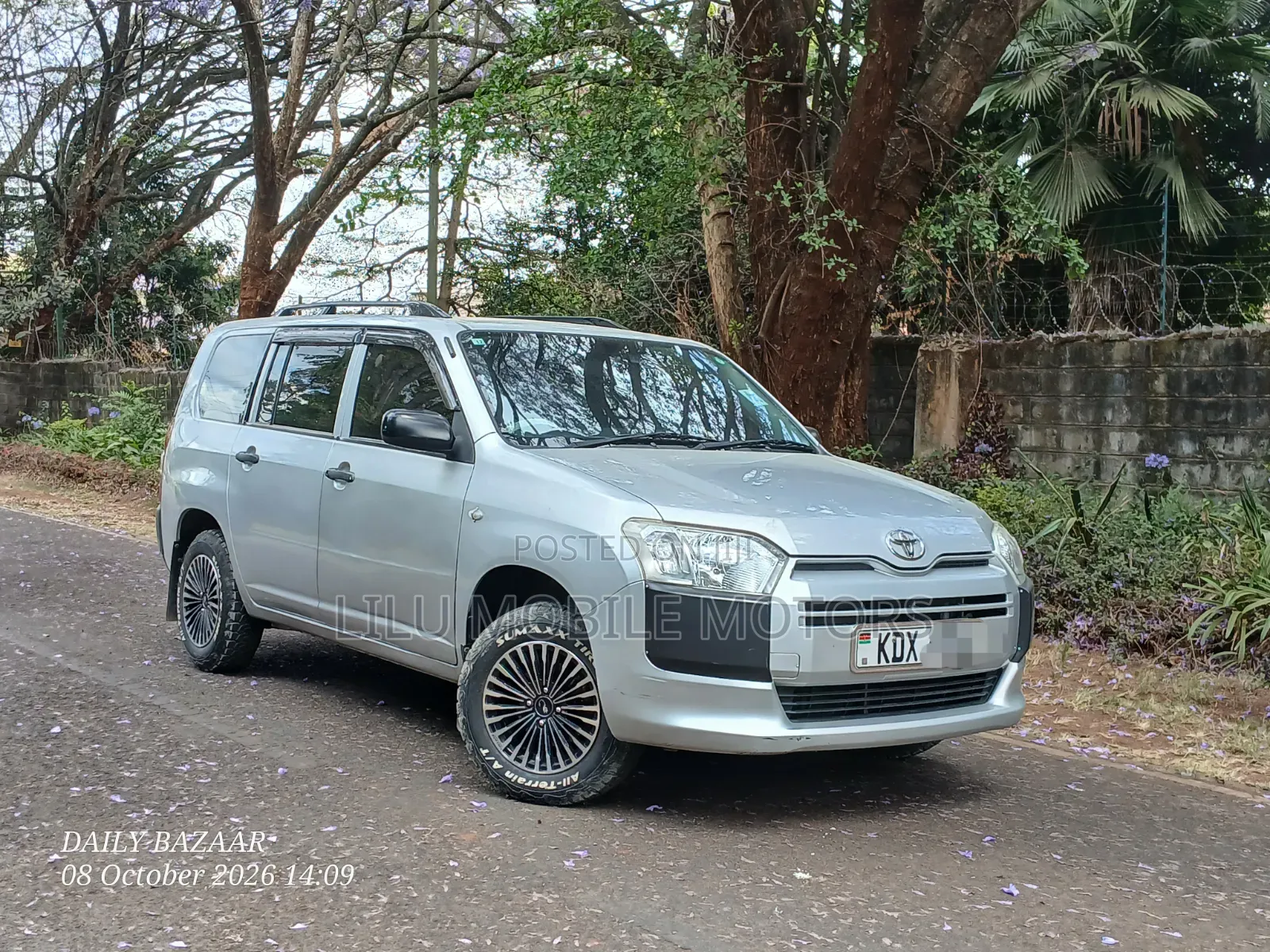 Toyota Probox 1.3 DX 2WD 2019 Silver
