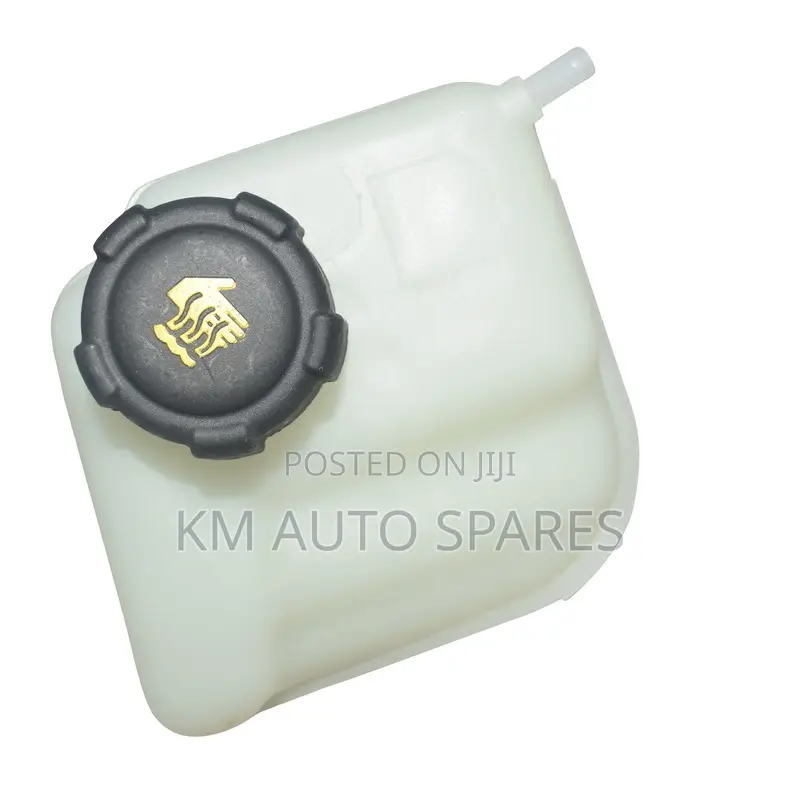 Nissan Dualis Coolant Tank.